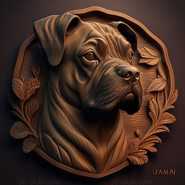 3D model st Kintamani dog breed dog (STL)